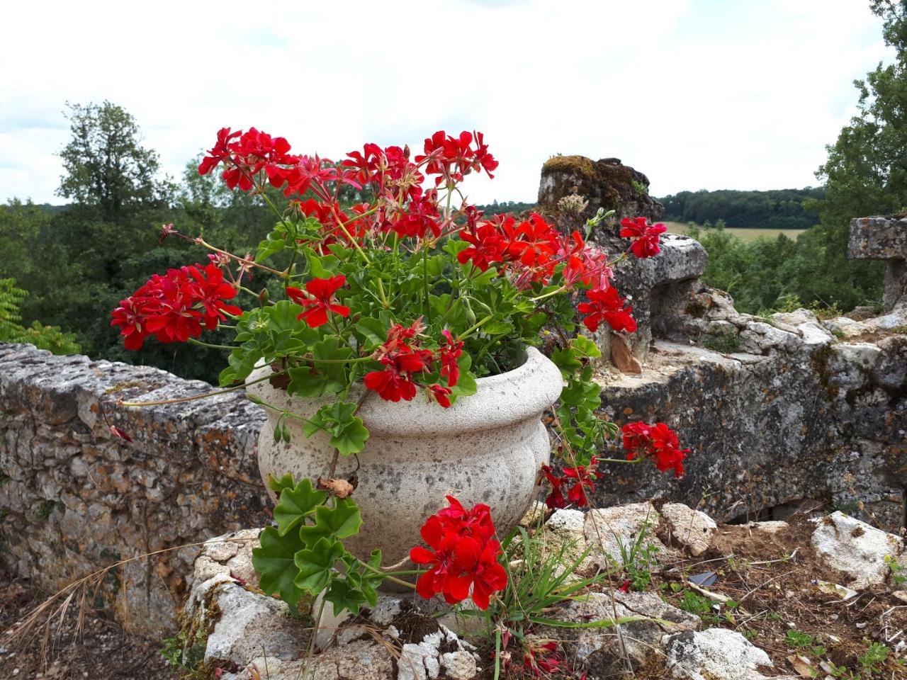 Villa Du Cerf Thibault Le Blanc Εξωτερικό φωτογραφία
